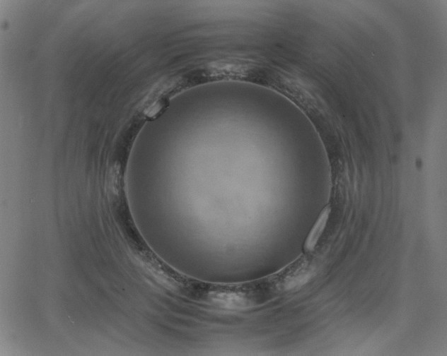 X0000064040649200601271203