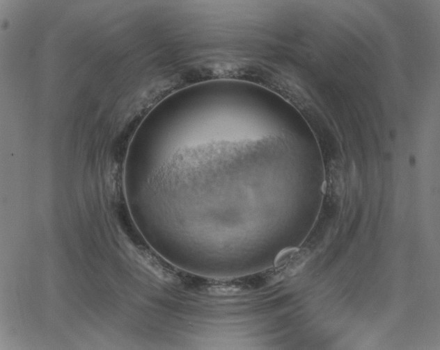 X0000064040650200601271203