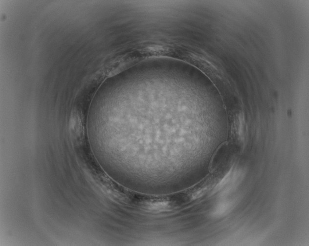 X0000064040651200601271203