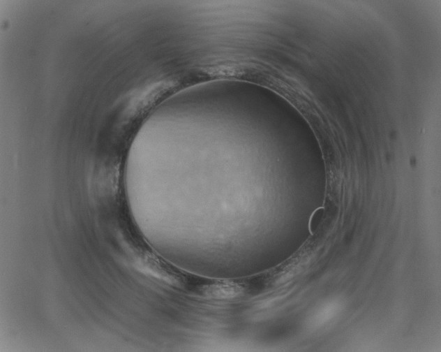 X0000064040652200601271203