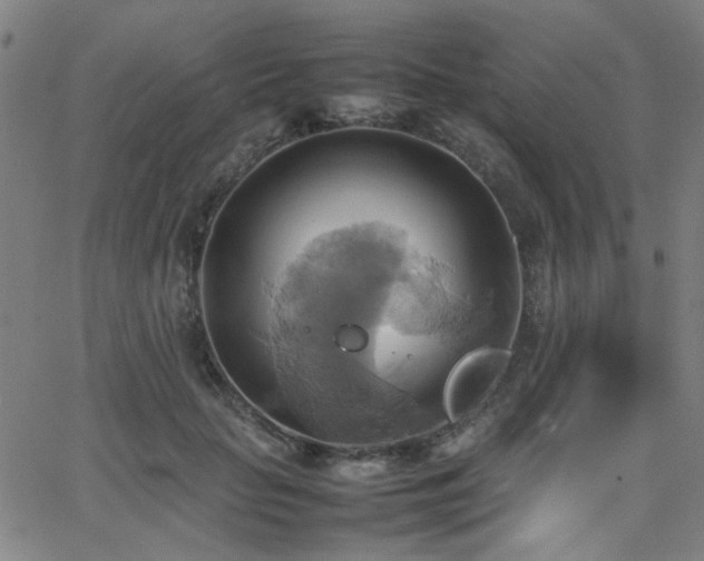 X0000064040653200601271203