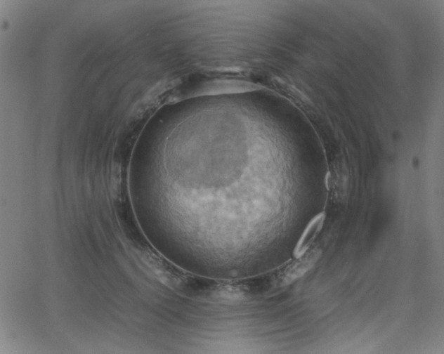 X0000064040656200601271203