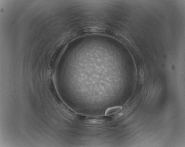 X0000064040657200601271203