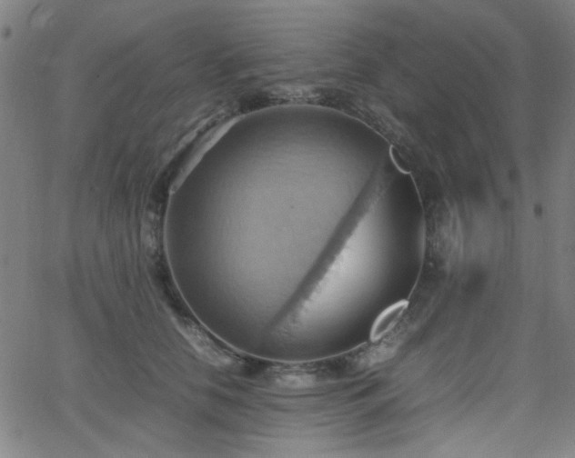 X0000064040658200601271203