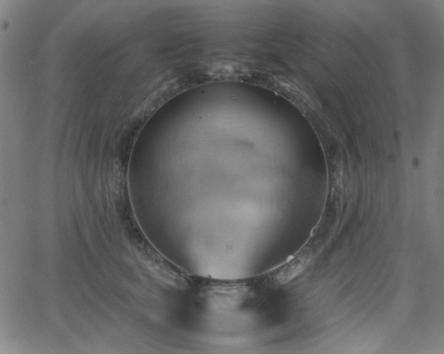 X0000064040659200601271203