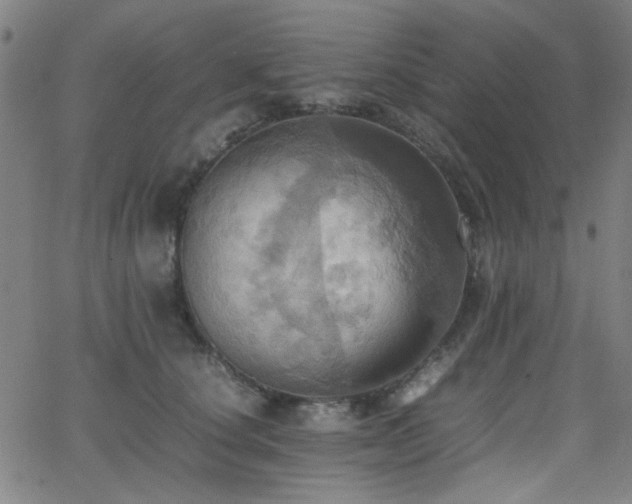 X0000064040660200601271203