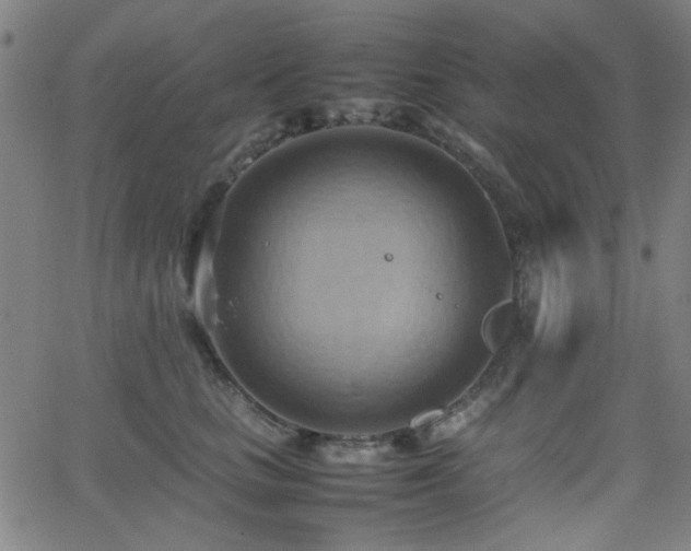 X0000064040661200601271203