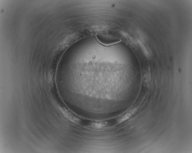 X0000064040662200601271203