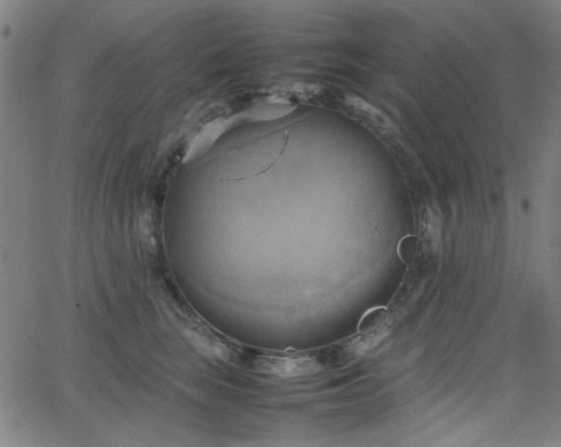 X0000064040663200601271203