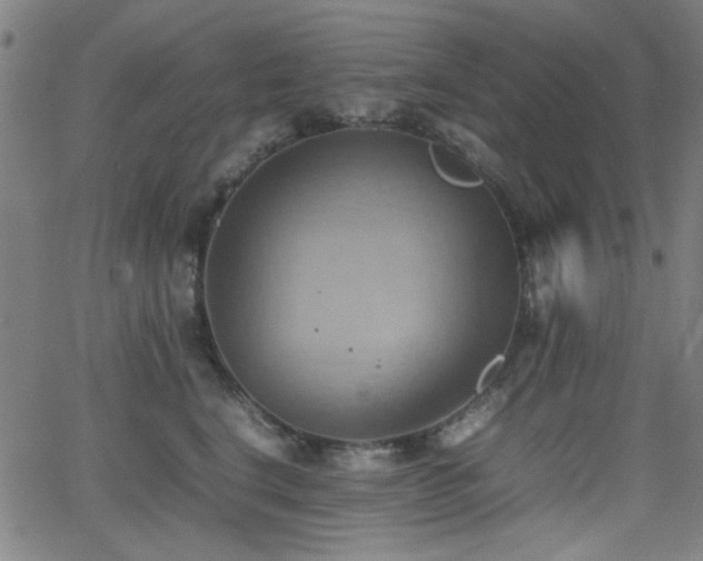 X0000064040664200601271203