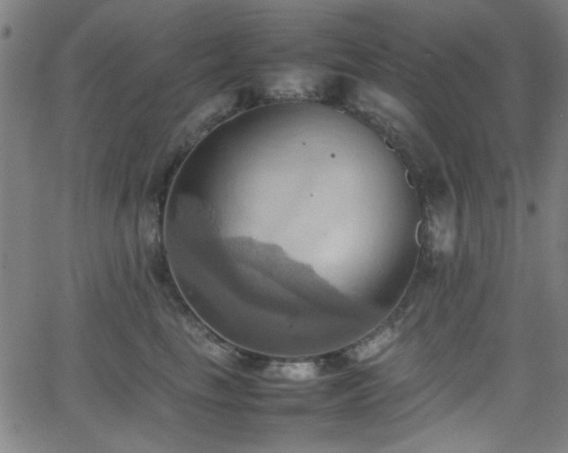 X0000064040665200601271203