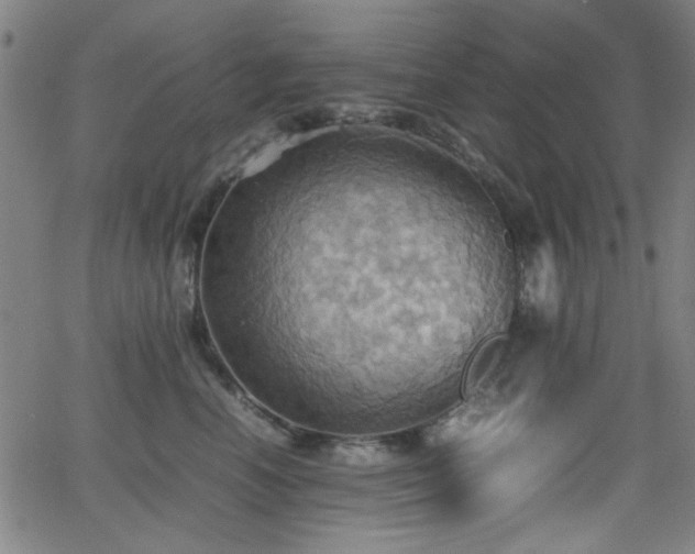 X0000064040666200601271203