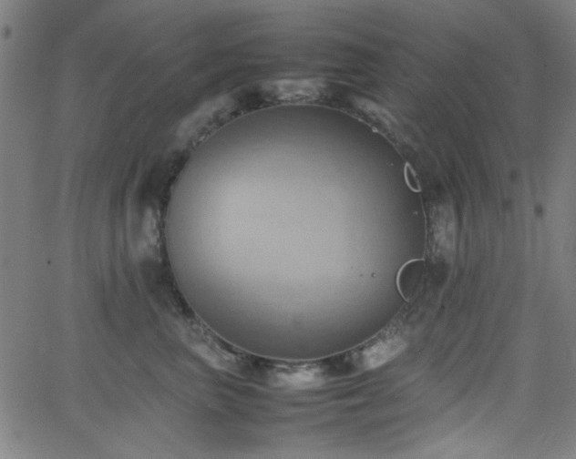 X0000064040667200601271203