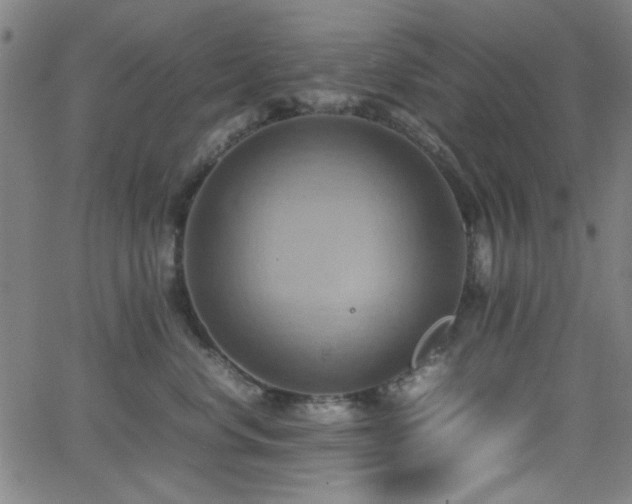 X0000064040668200601271203