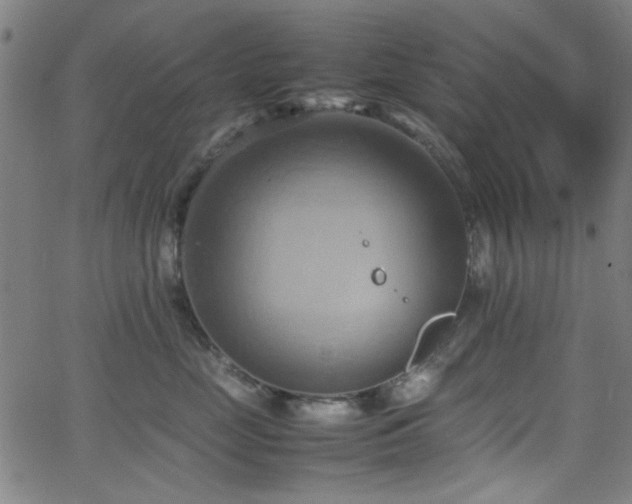 X0000064040669200601271203