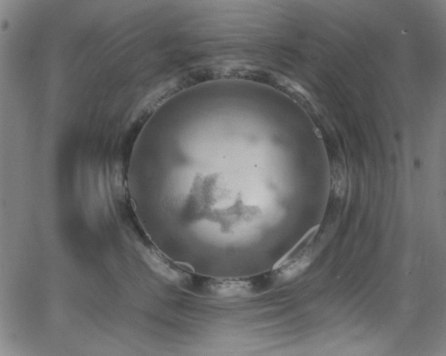 X0000064040670200601271203