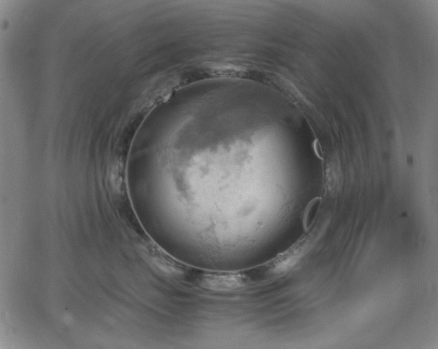 X0000064040671200601271203