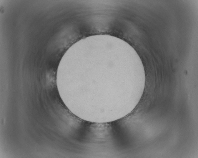 X0000064040672200601271203