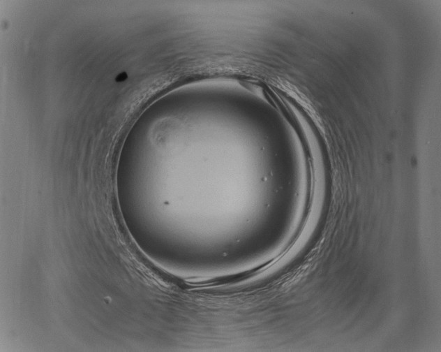 X0000064040673200601271203