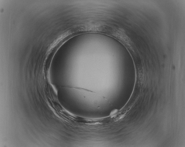 X0000064040674200601271203