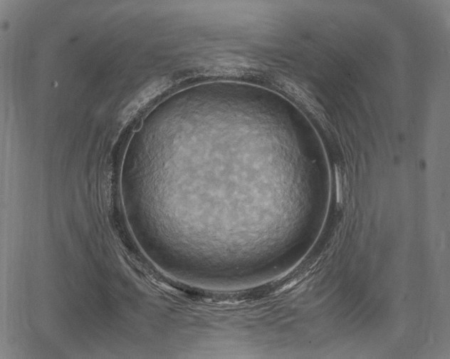 X0000064040675200601271203