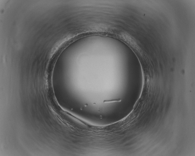 X0000064040676200601271203