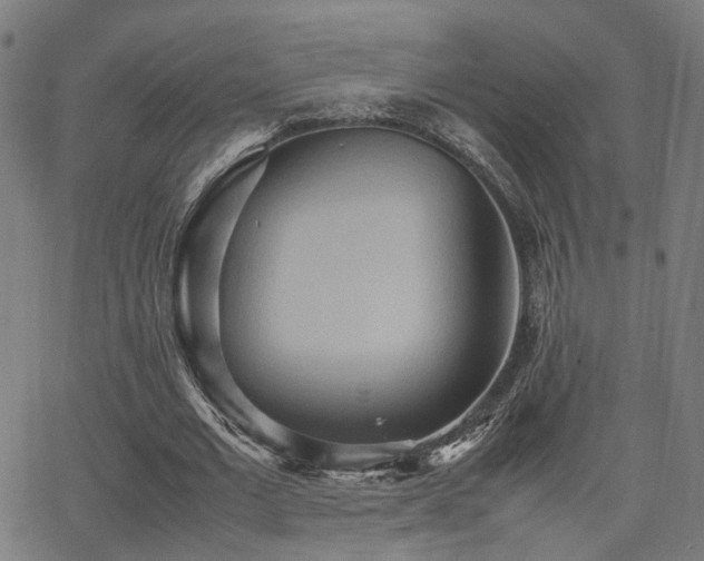 X0000064040677200601271203