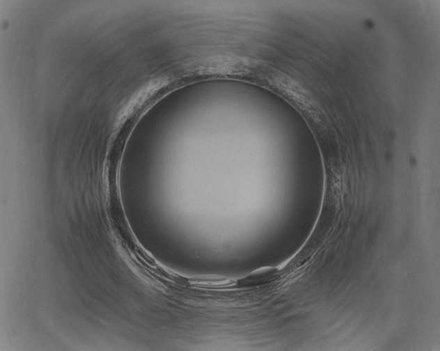 X0000064040678200601271203