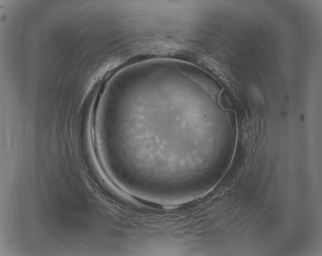 X0000064040679200601271203