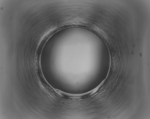 X0000064040680200601271203