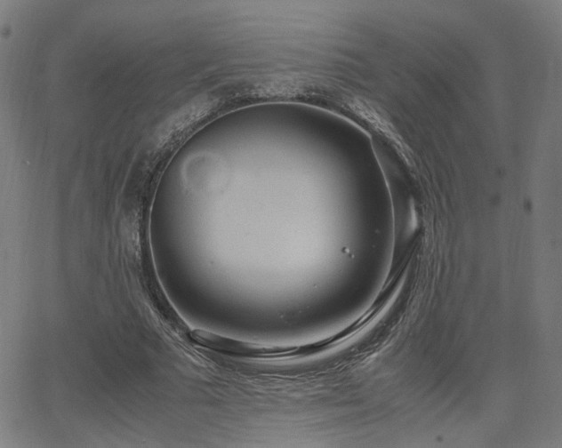 X0000064040681200601271203