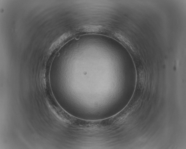 X0000064040682200601271203