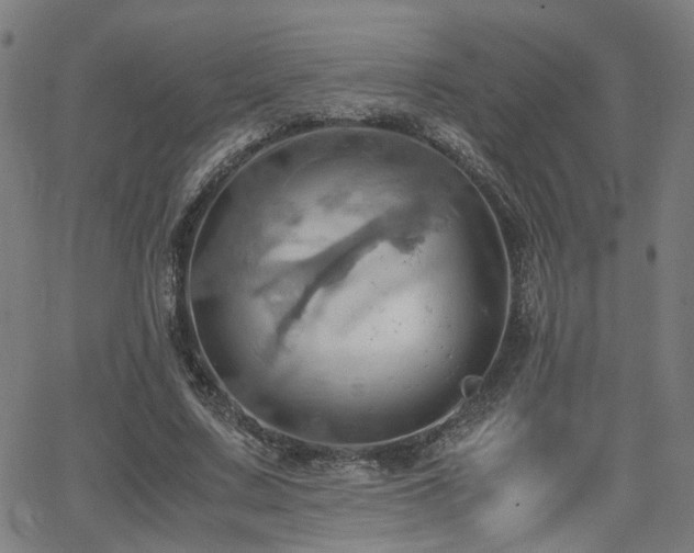 X0000064040683200601271202