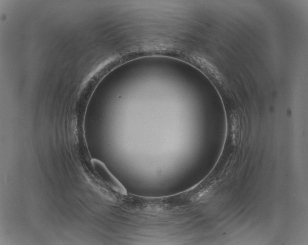 X0000064040684200601271202