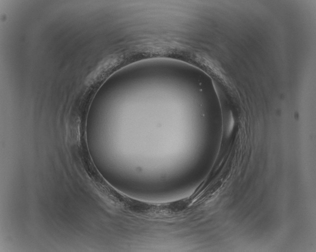 X0000064040685200601271202