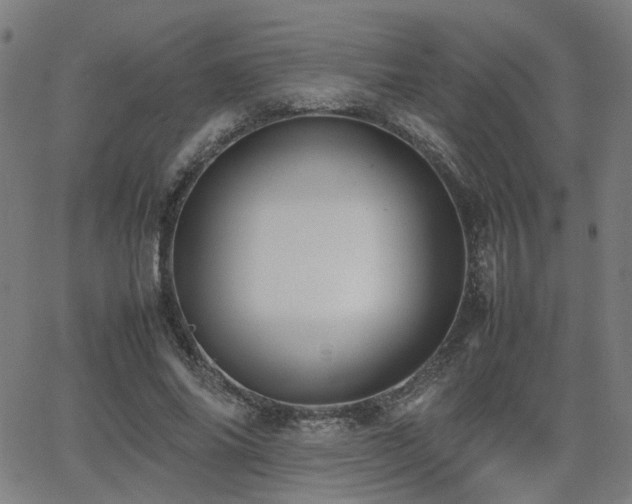 X0000064040686200601271202