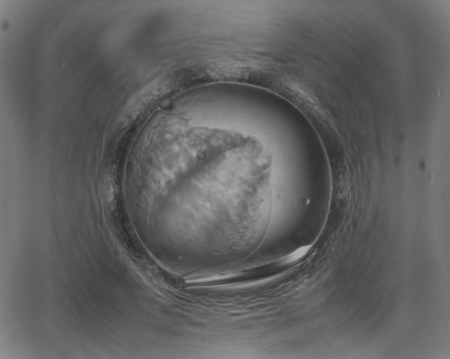 X0000064040687200601271202