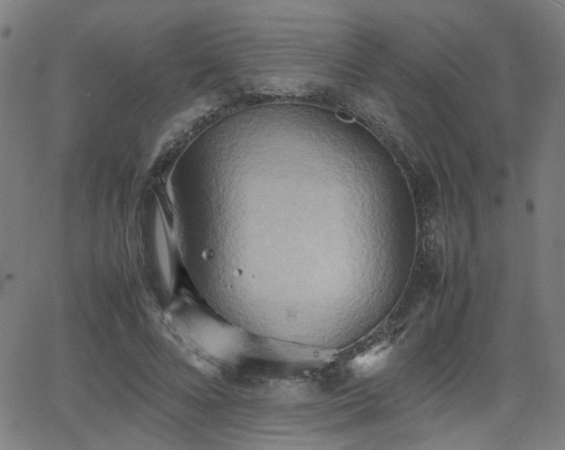 X0000064040688200601271202