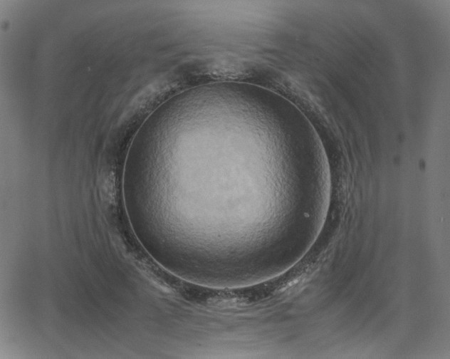 X0000064040689200601271202