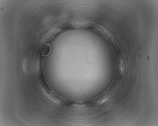 X0000064040690200601271202