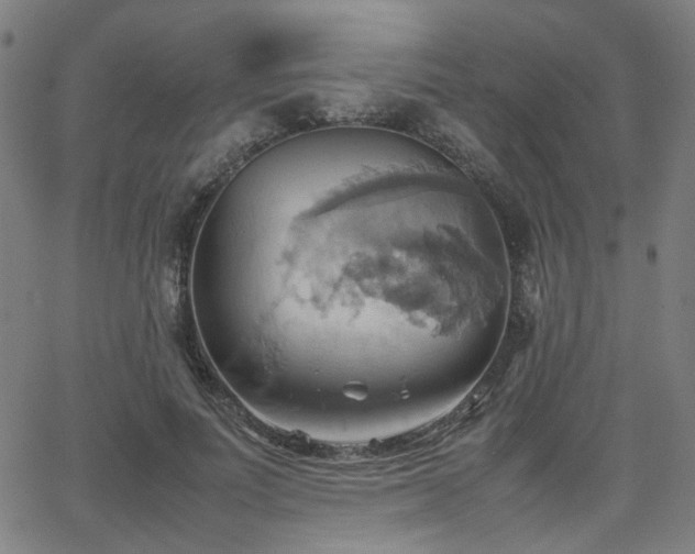 X0000064040691200601271202