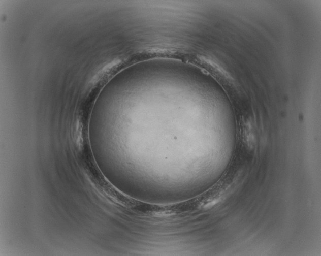 X0000064040692200601271202