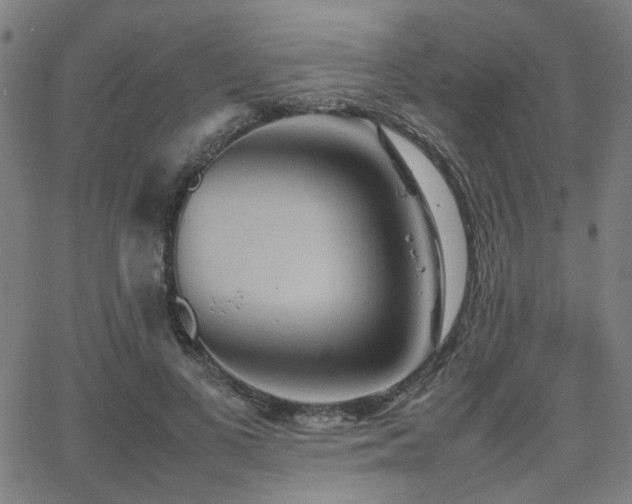 X0000064040693200601271202