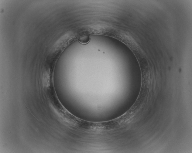 X0000064040694200601271202