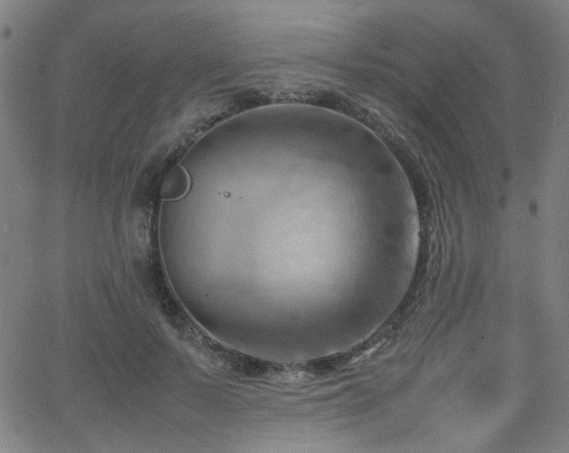 X0000064040695200601271202