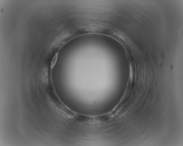 X0000064040696200601271202