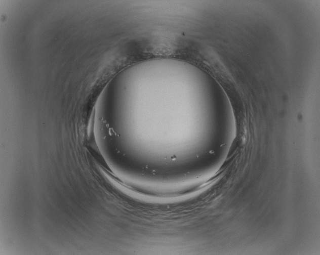 X0000064040697200601271202