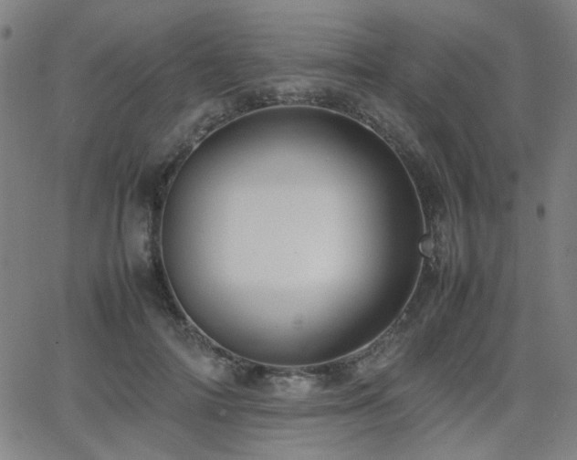 X0000064040698200601271202