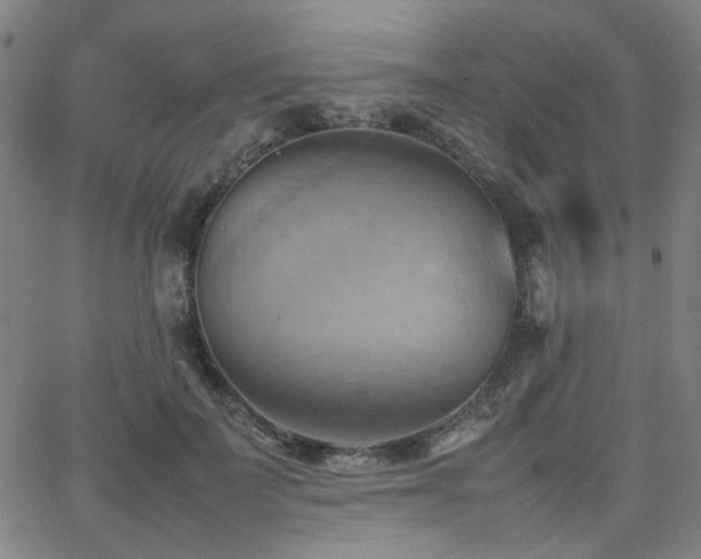 X0000064040699200601271202