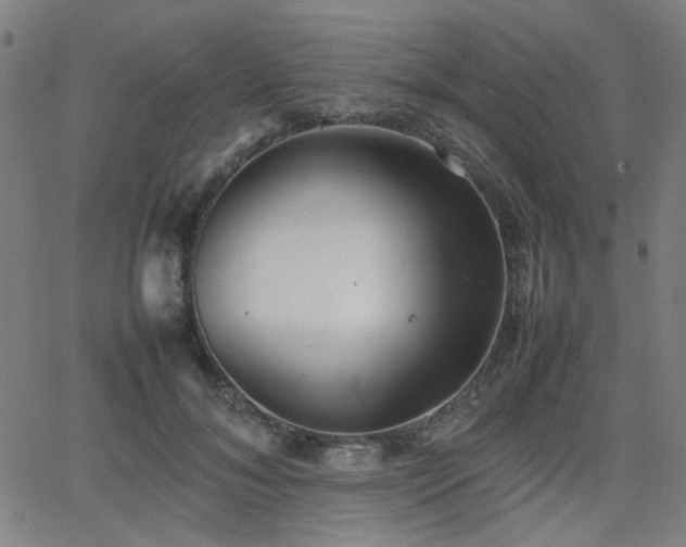 X0000064040700200601271202